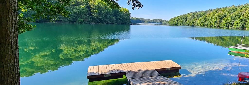 wooden dock extending in to a lake on a summer day